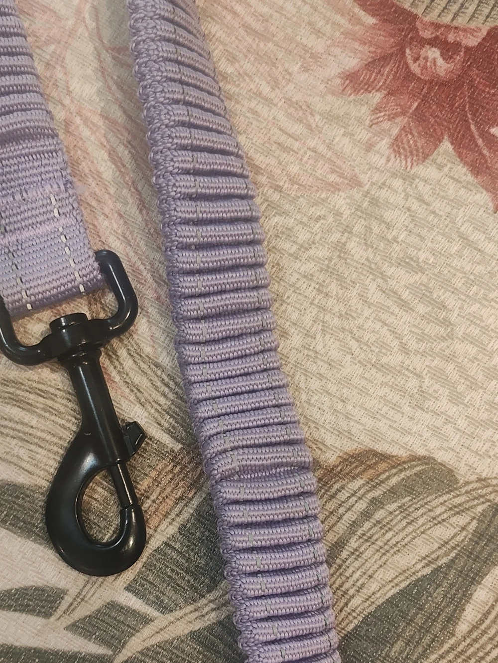 PETS: DOG LEASH - STRETCHY